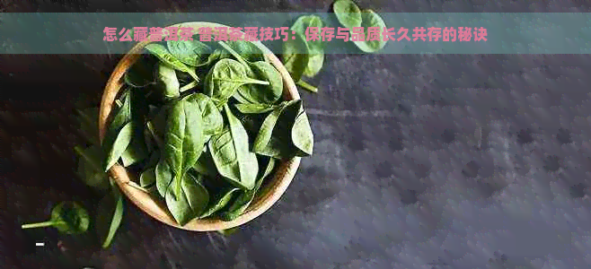 怎么藏普洱茶 普洱茶藏技巧：保存与品质长久共存的秘诀