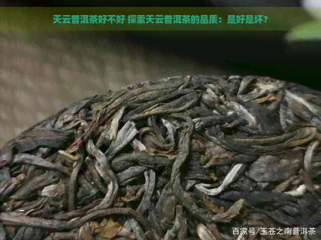 天云普洱茶好不好 探索天云普洱茶的品质：是好是坏？