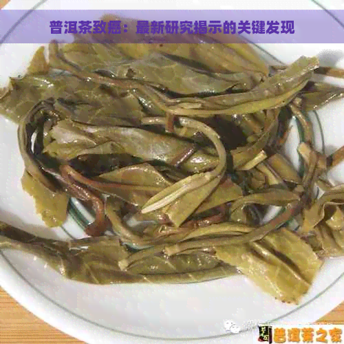 普洱茶致癌：最新研究揭示的关键发现