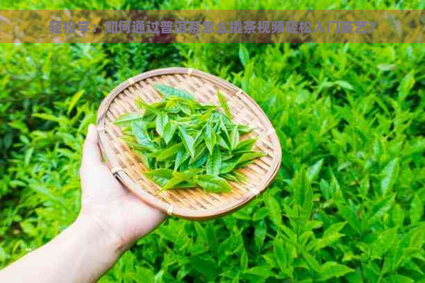 轻松学：如何通过普洱茶怎么撬茶视频轻松入门茶艺？