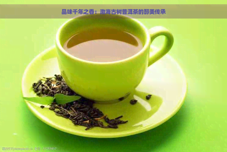 品味千年之香：渤海古树普洱茶的醇美传承