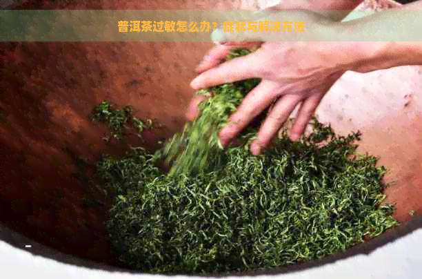 普洱茶过敏怎么办？症状与解决方法