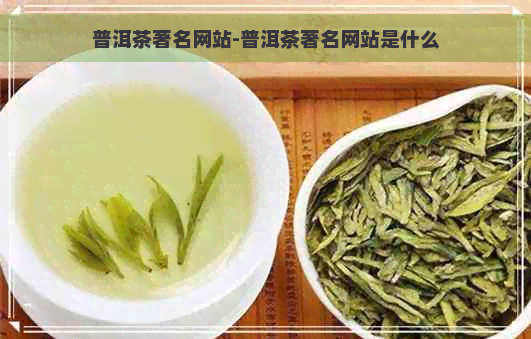 普洱茶著名网站-普洱茶著名网站是什么