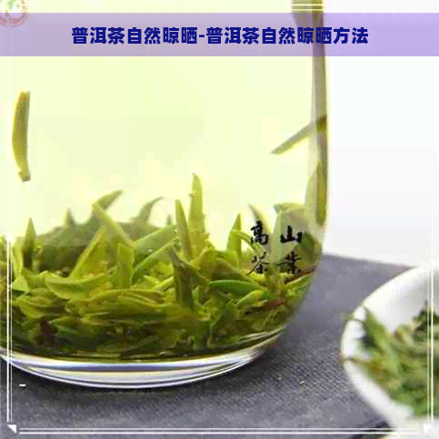 普洱茶自然晾晒-普洱茶自然晾晒方法