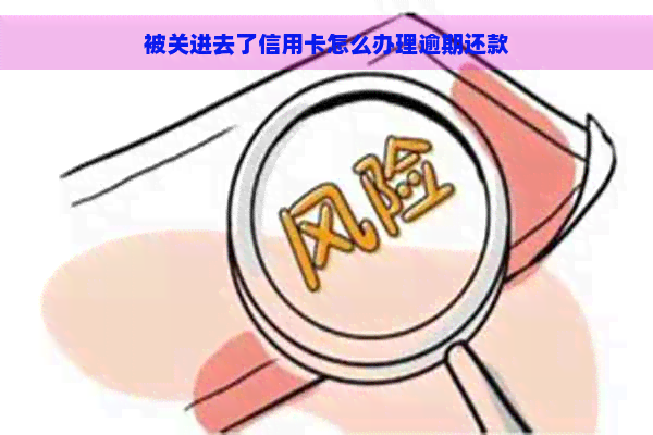 被关进去了信用卡怎么办理逾期还款