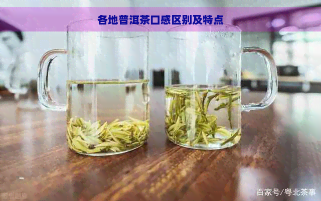 各地普洱茶口感区别及特点