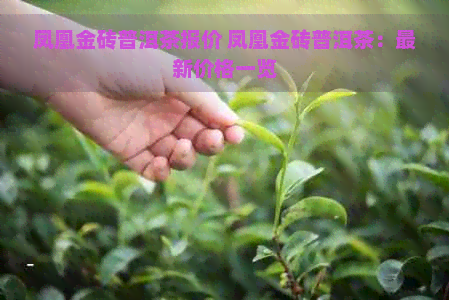 凤凰金砖普洱茶报价 凤凰金砖普洱茶：最新价格一览