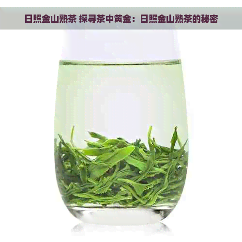 日照金山熟茶 探寻茶中黄金：日照金山熟茶的秘密