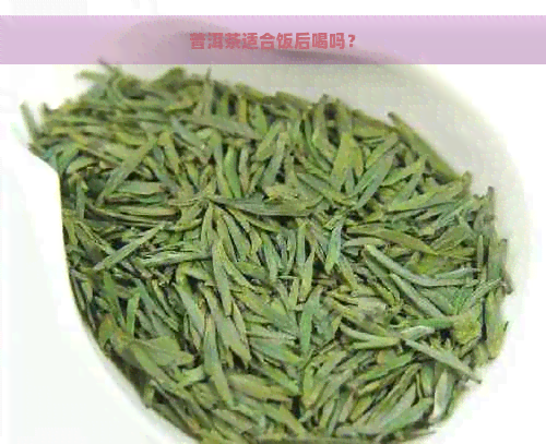 普洱茶适合饭后喝吗？