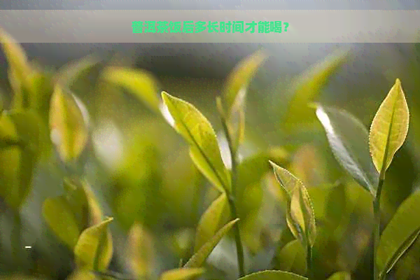 普洱茶饭后多长时间才能喝？