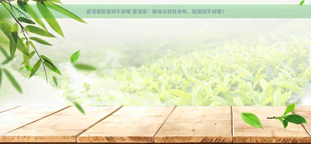 普洱茶到底好不好喝 普洱茶：美味与好处并存，到底好不好喝？