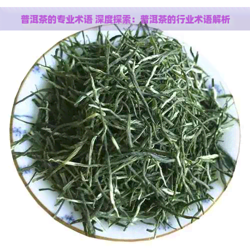 普洱茶的专业术语 深度探索：普洱茶的行业术语解析