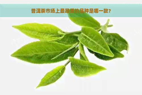 普洱茶市场上最昂贵的品种是哪一款？