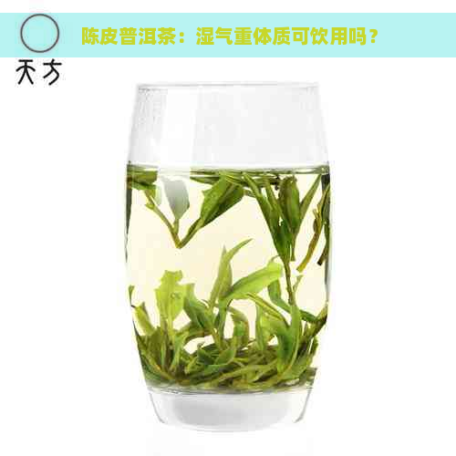 陈皮普洱茶：湿气重体质可饮用吗？