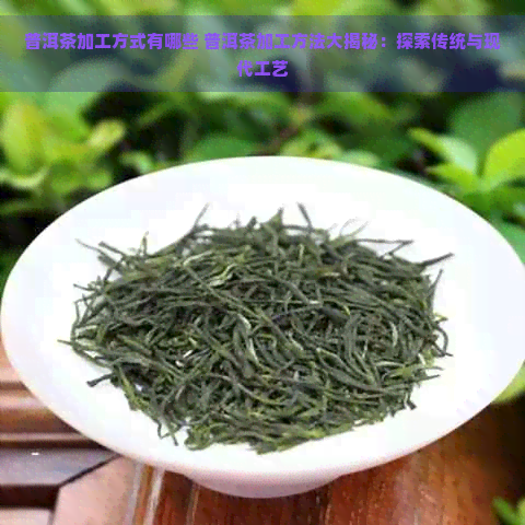 普洱茶加工方式有哪些 普洱茶加工方法大揭秘：探索传统与现代工艺