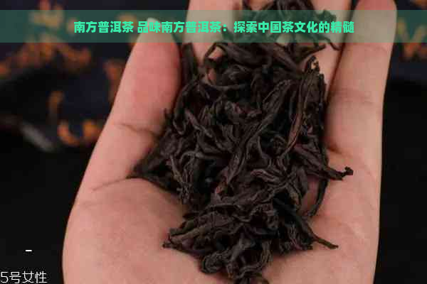南方普洱茶 品味南方普洱茶：探索中国茶文化的精髓