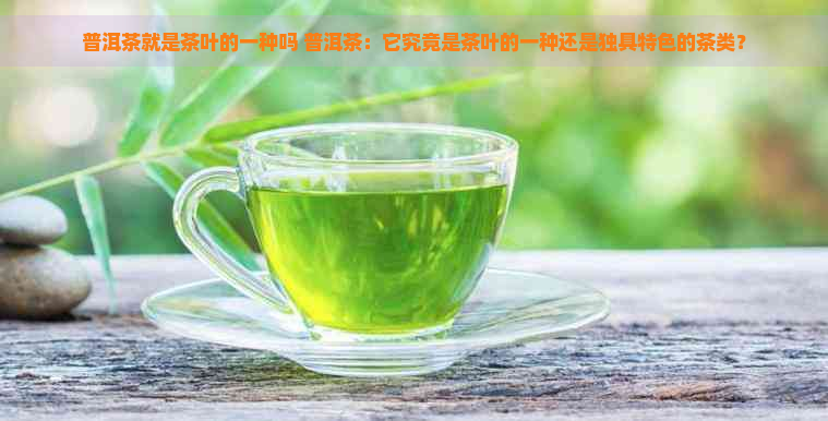 普洱茶就是茶叶的一种吗 普洱茶：它究竟是茶叶的一种还是独具特色的茶类？