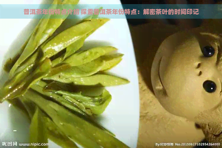 普洱茶年份特点介绍 探索普洱茶年份特点：解密茶叶的时间印记