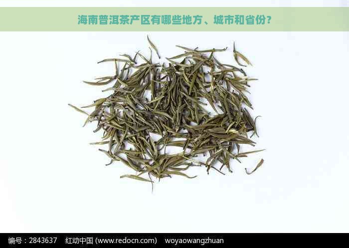 海南普洱茶产区有哪些地方、城市和省份？