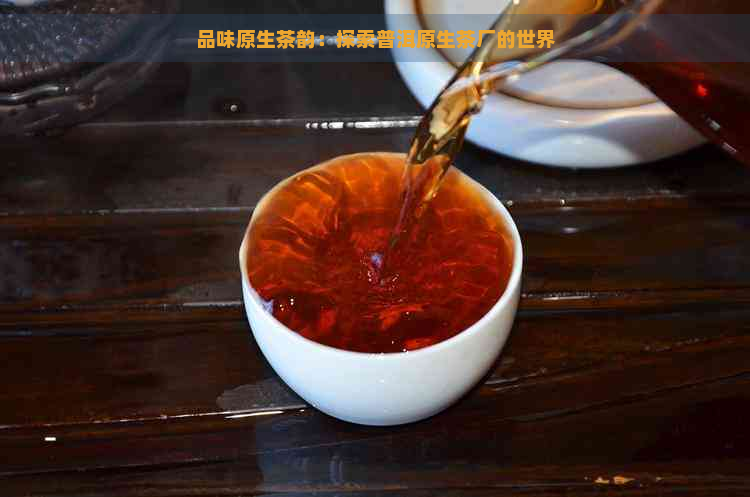品味原生茶韵：探索普洱原生茶厂的世界