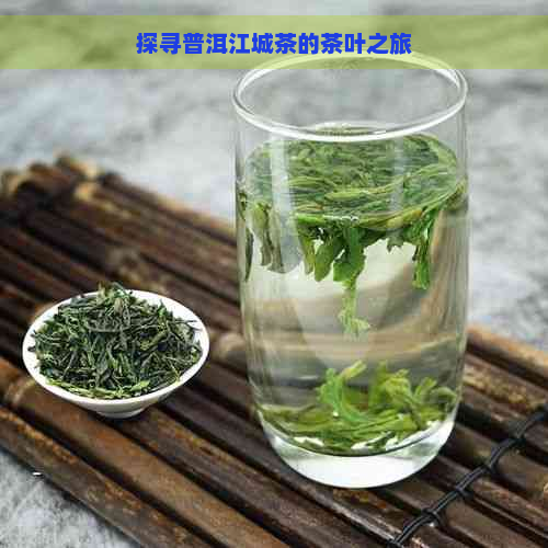 探寻普洱江城茶的茶叶之旅