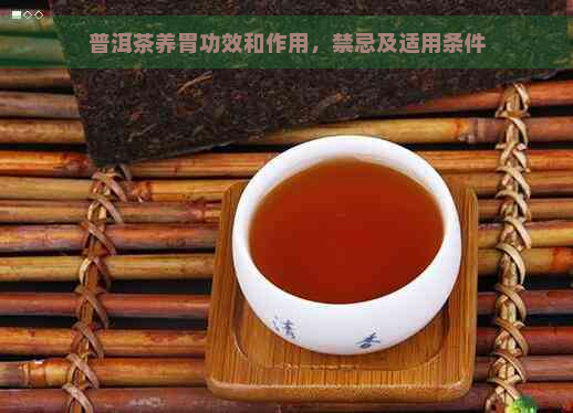 普洱茶养胃功效和作用，禁忌及适用条件