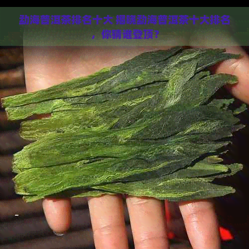 勐海普洱茶排名十大 揭晓勐海普洱茶十大排名，你猜谁登顶？