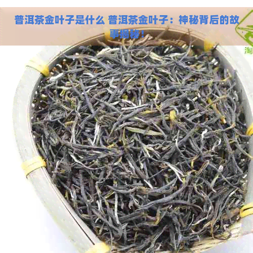 普洱茶金叶子是什么 普洱茶金叶子：神秘背后的故事揭秘！