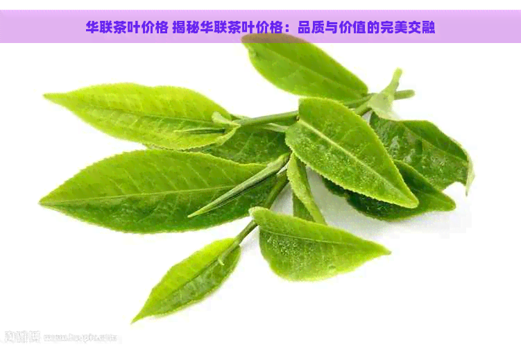 华联茶叶价格 揭秘华联茶叶价格：品质与价值的完美交融