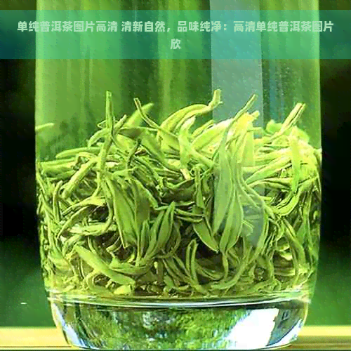 单纯普洱茶图片高清 清新自然，品味纯净：高清单纯普洱茶图片欣