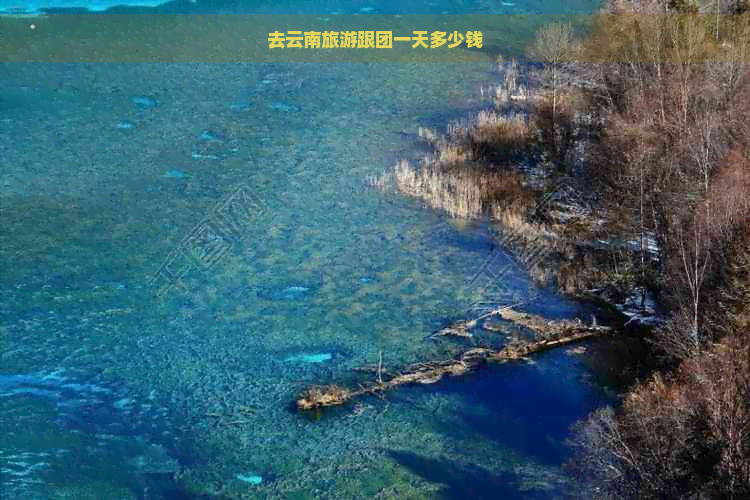 去云南旅游跟团一天多少钱