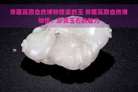青藏高原自然博物馆卖的玉 青藏高原自然博物馆：珍贵玉石的魅力