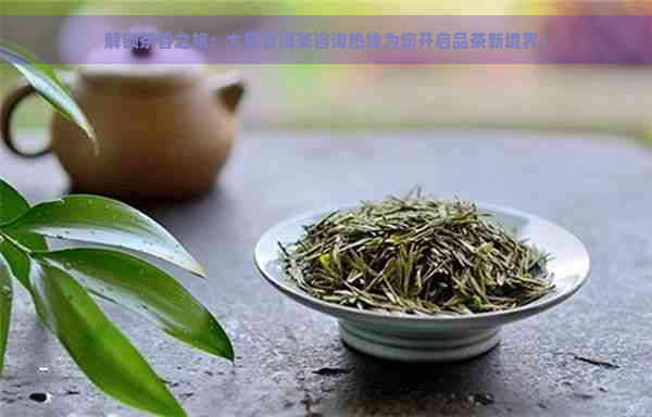 解锁茶香之旅：太原普洱茶咨询热线为您开启品茶新境界！