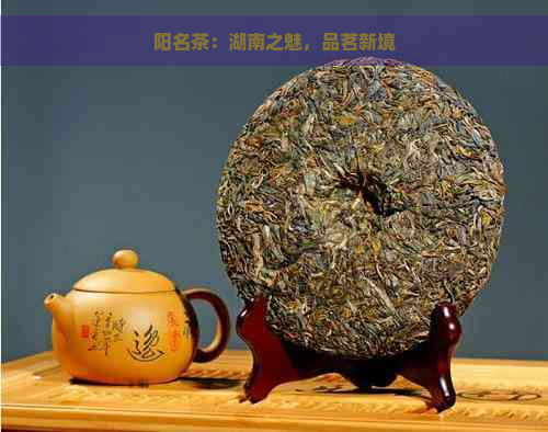 阳名茶：湖南之魅，品茗新境