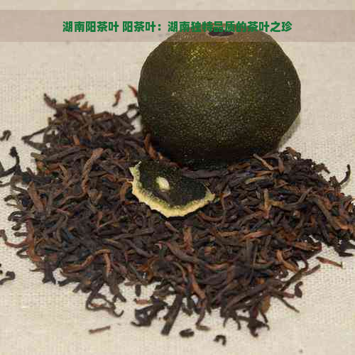 湖南阳茶叶 阳茶叶：湖南独特品质的茶叶之珍