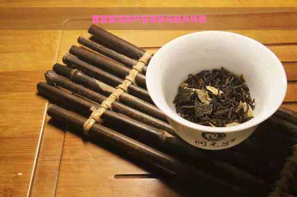 西盟普洱茶产业发展与提升项目