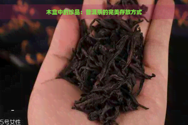 木盒中的珍品：普洱茶的完美存放方式