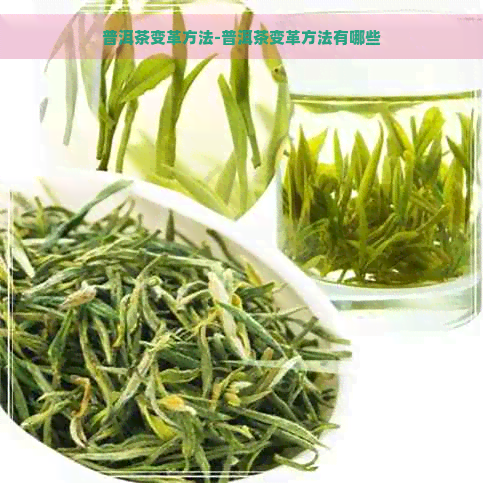 普洱茶变革方法-普洱茶变革方法有哪些