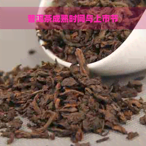 普洱茶成熟时间与上市节