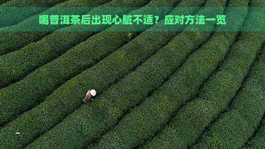 喝普洱茶后出现心脏不适？应对方法一览