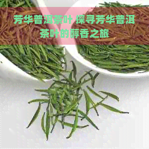 芳华普洱茶叶 探寻芳华普洱茶叶的醇香之旅