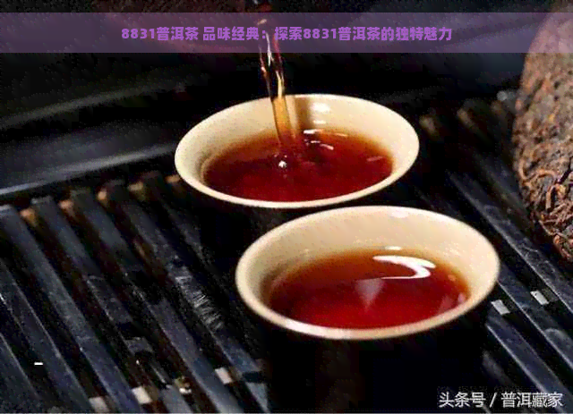 8831普洱茶 品味经典：探索8831普洱茶的独特魅力