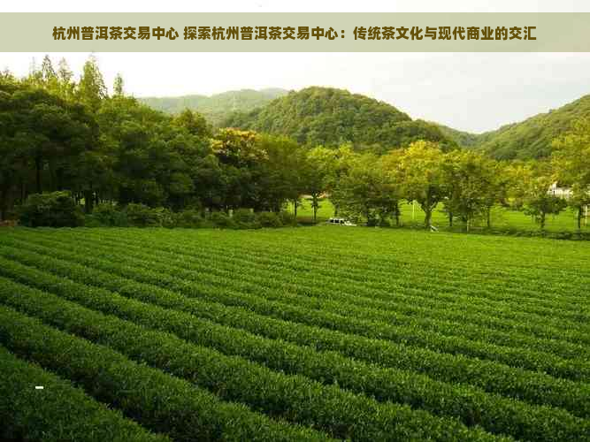 杭州普洱茶交易中心 探索杭州普洱茶交易中心：传统茶文化与现代商业的交汇