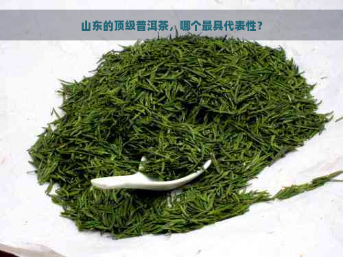 山东的顶级普洱茶，哪个更具代表性？