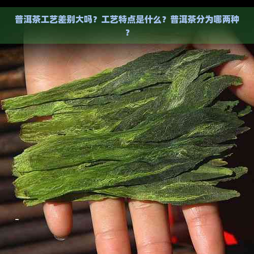 普洱茶工艺差别大吗？工艺特点是什么？普洱茶分为哪两种？