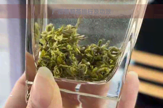 广西茉莉茶排行及功效