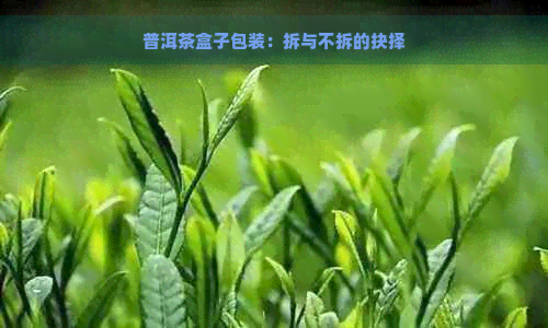 普洱茶盒子包装：拆与不拆的抉择