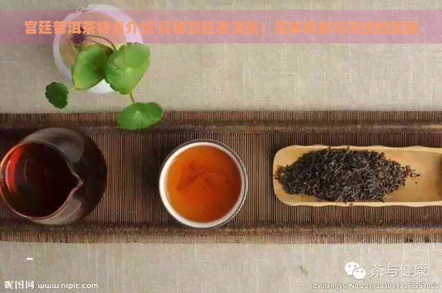 宫廷普洱茶特点介绍 探秘宫廷普洱茶：品味尊贵与传统的奥秘