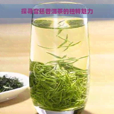 探寻宫廷普洱茶的独特魅力