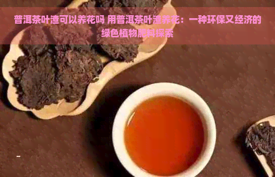 普洱茶叶渣可以养花吗 用普洱茶叶渣养花：一种环保又经济的绿色植物肥料探索